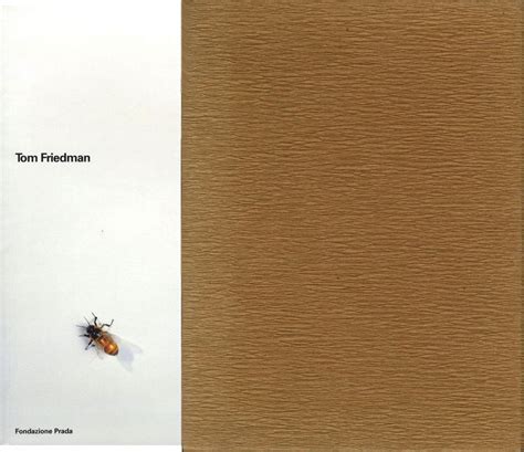 tom friedman fondazione prada|Tom Friedman (2 Volume Set, Slipcase; English Edition) .